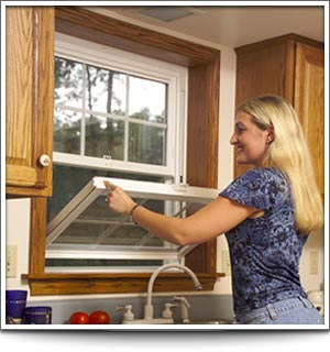 Energy efficient window replacements